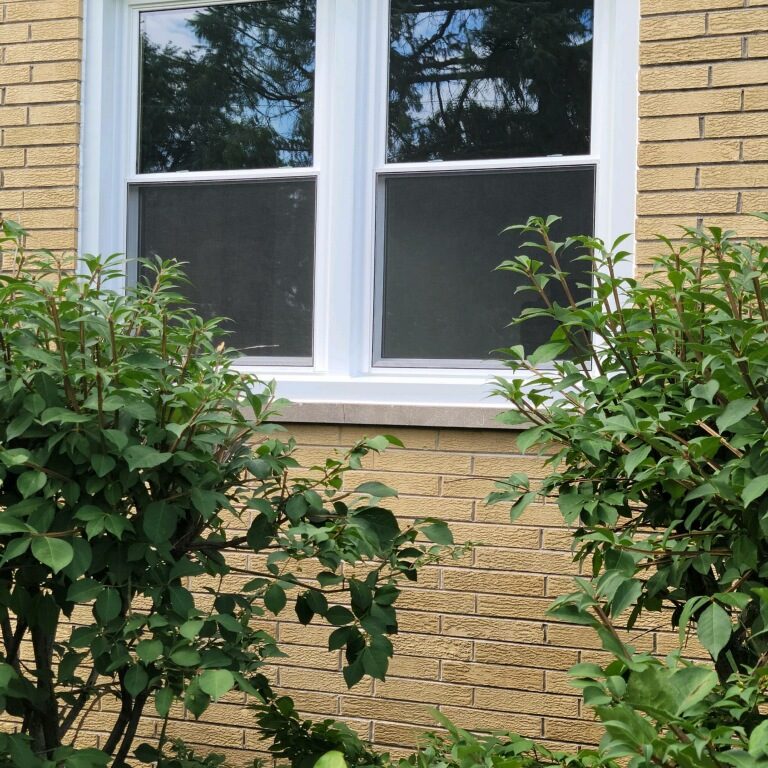 New white windows complement a brick facade and plants.