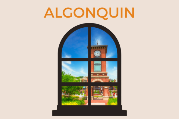 Outdoor view of Algonquin seen through a window.