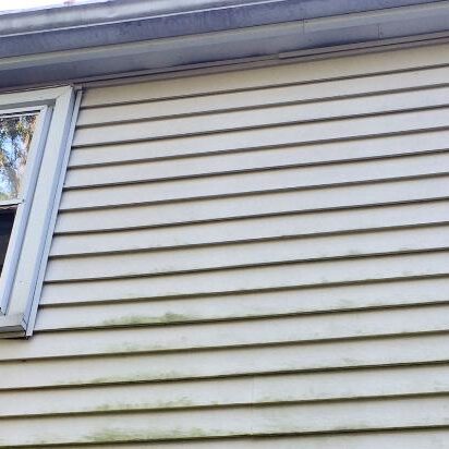 Cost of Siding Replacement The cost of siding replacement may keep someone from replacing this siding