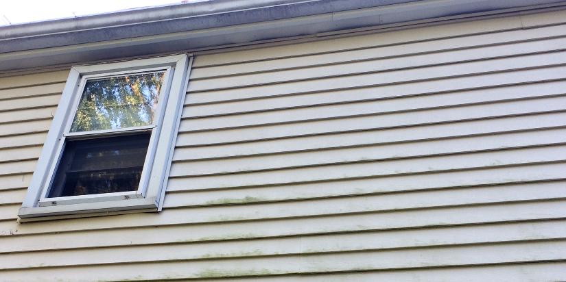 What Major Factors Decide the Cost of Siding Replacement?